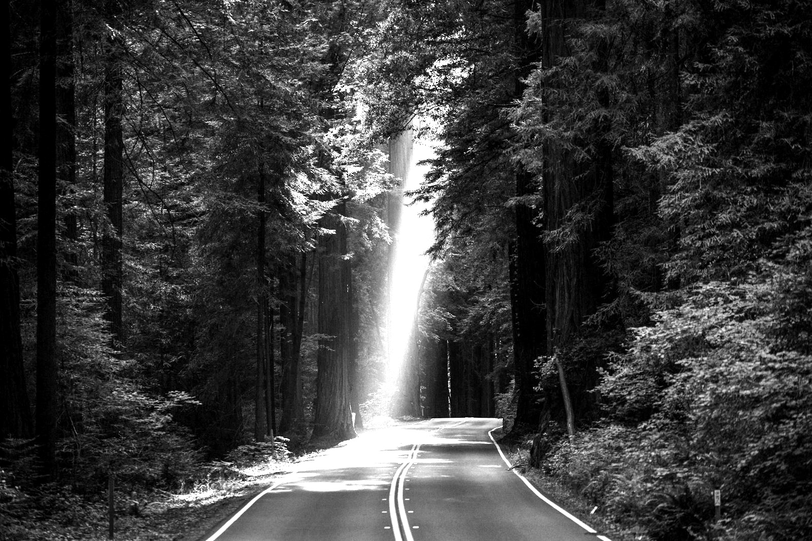 Toma Familiar B&W